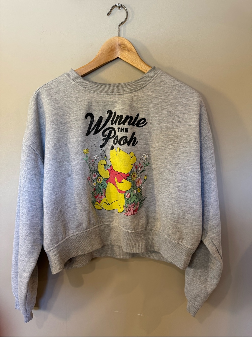Disney Winnie the Pooh Cropped Sweatshirt Women’s Medium Grey Graphic Pullover - Picture 2 of 6